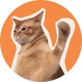 catslap upcoming ico