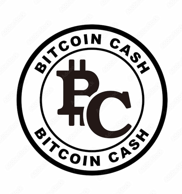 BCH Logo