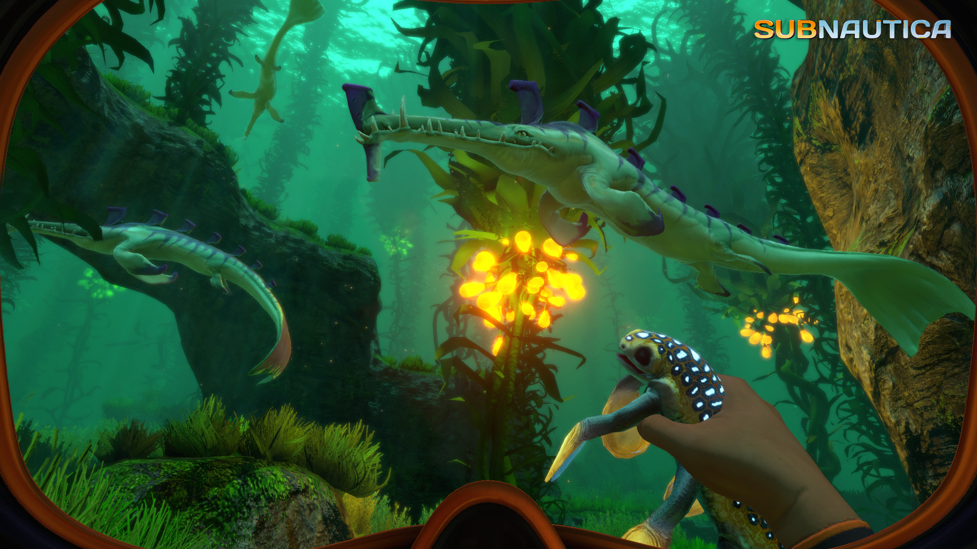 First person perspective of under water exploration in Subnautica