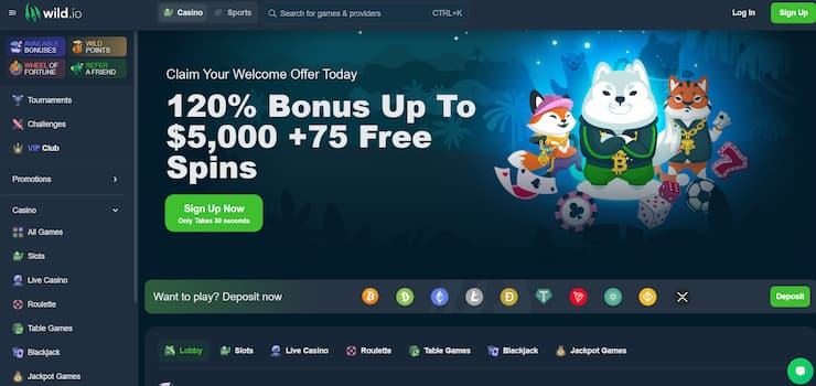 Wild.io Australian Bitcoin Crypto Casino