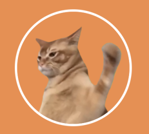 Catslap logo