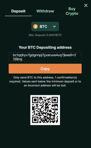 TG.Casino Wallet Step 3